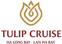 Awesome Logo